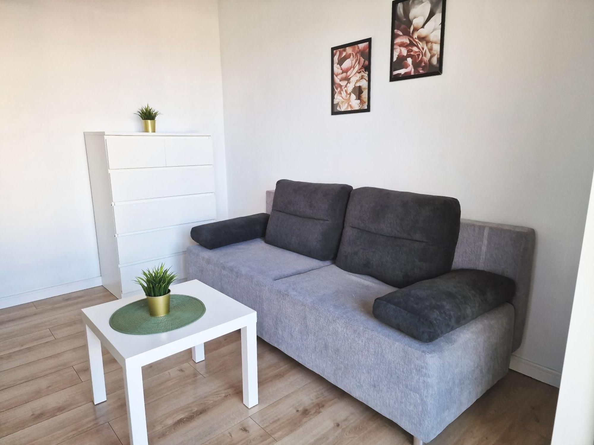 Urban Jungle - Silver Apartamento Białystok